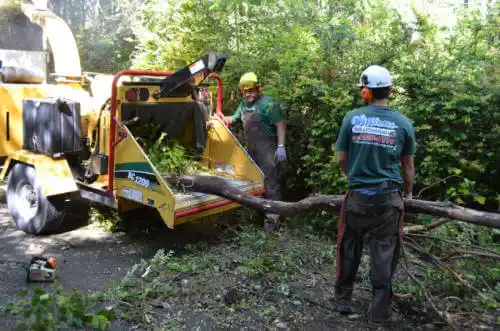 tree services Germantown Hills